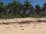 superbe plage de 6kms de long à Piracanga