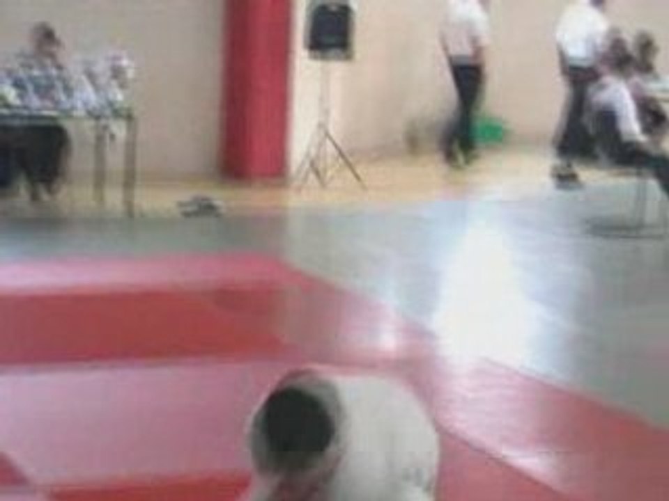montage judo
