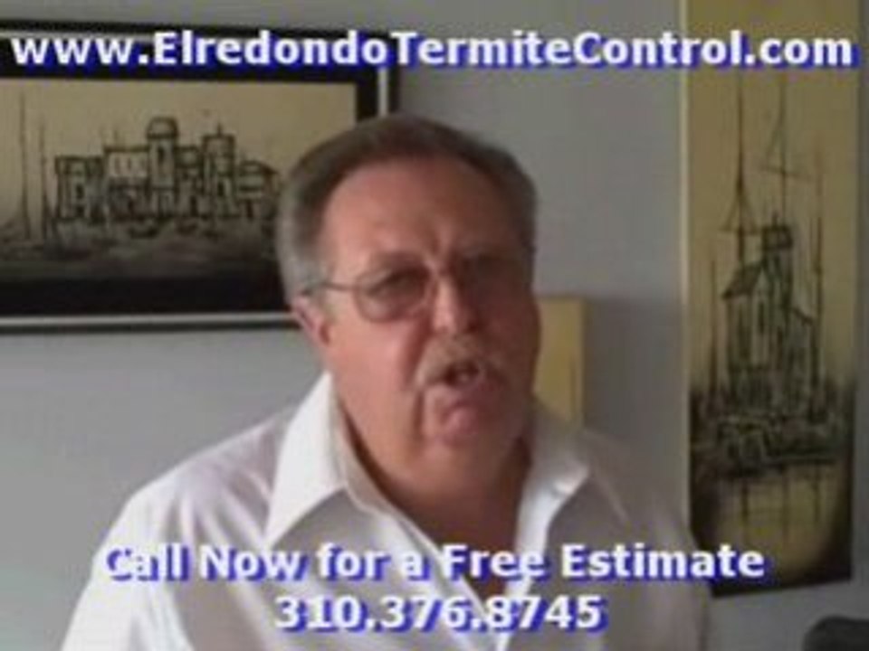 Video:Termite Control Culver City El Redondo Free ...