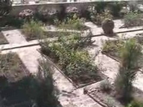 Balchik-Jardin Botanique (11)