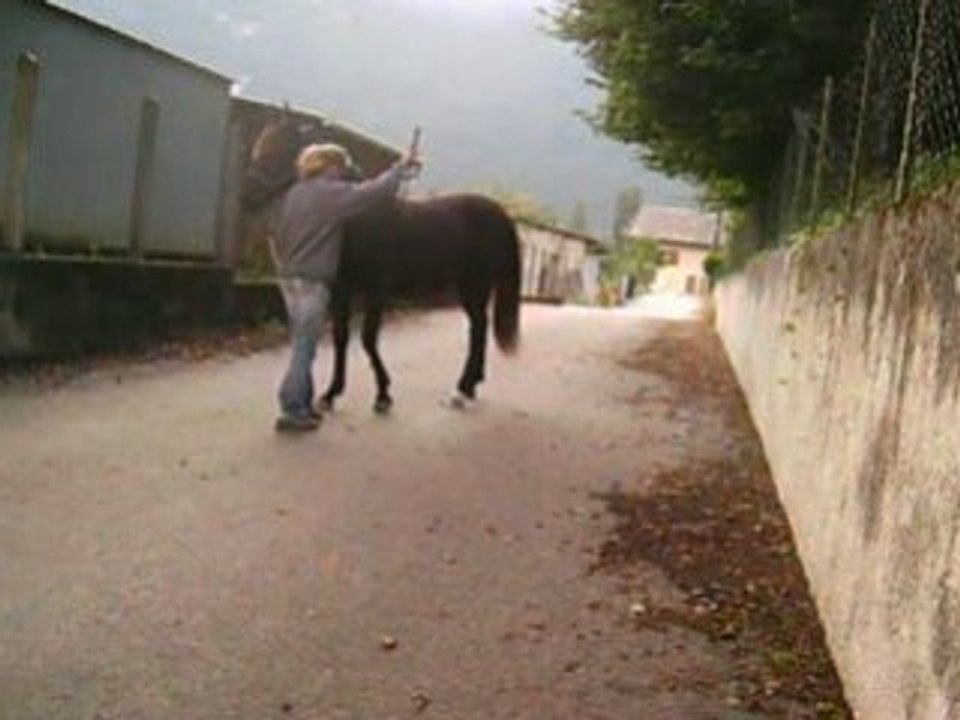 Toundra 19-09-08
