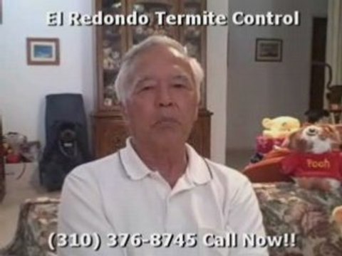 Video:Pest Control Santa Monica El Redondo Termite Free ...