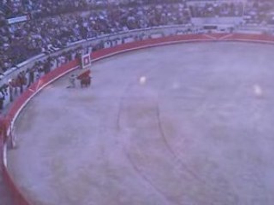 El Juli unico espada