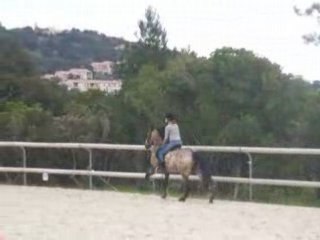Moi et ma ponette (giveme)