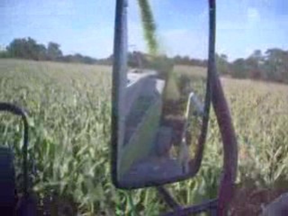 ensilage de maïs 2008 jaguar 830