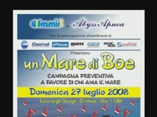 UN MARE DI BOE