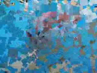 Vacs vendée + gers 2005