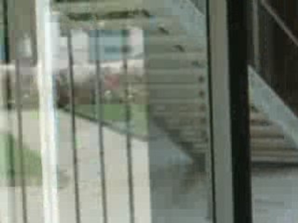 remi gaillard joggin imitation