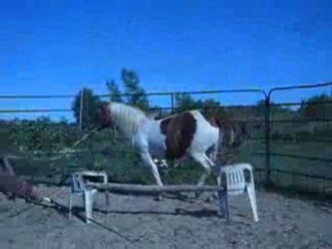 moi et mon amie qui longe ma jument