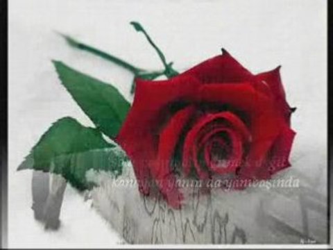 ETİMESGUT TİCARET MESLEK LİSESİ