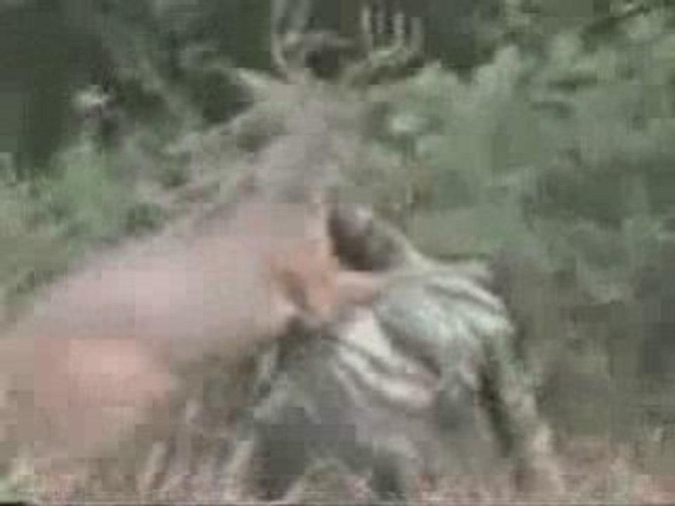 Lecon pour les Chasseurs