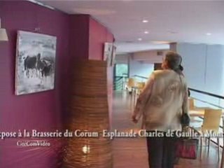 Françoise Joué- Gaillard : Les couleurs de la tauromachie