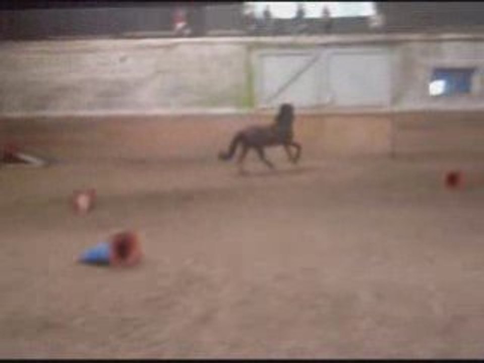 Idoole lécher au manege