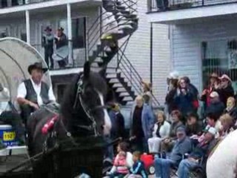 Festival St Tite - Québec 2008 - part 2