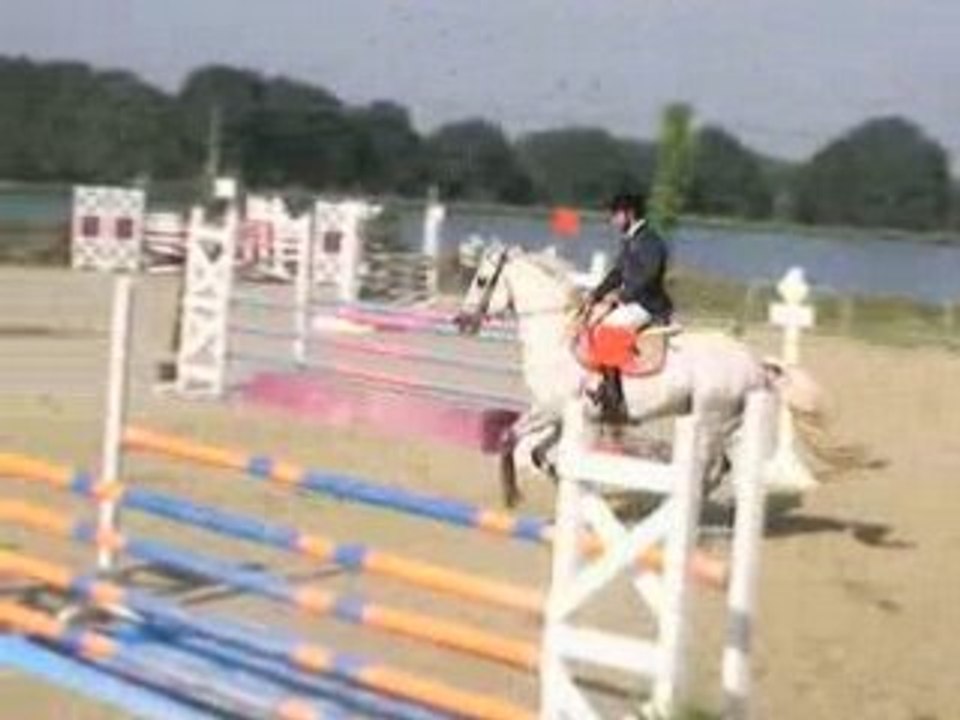 Pumkins Pondi prepa 105