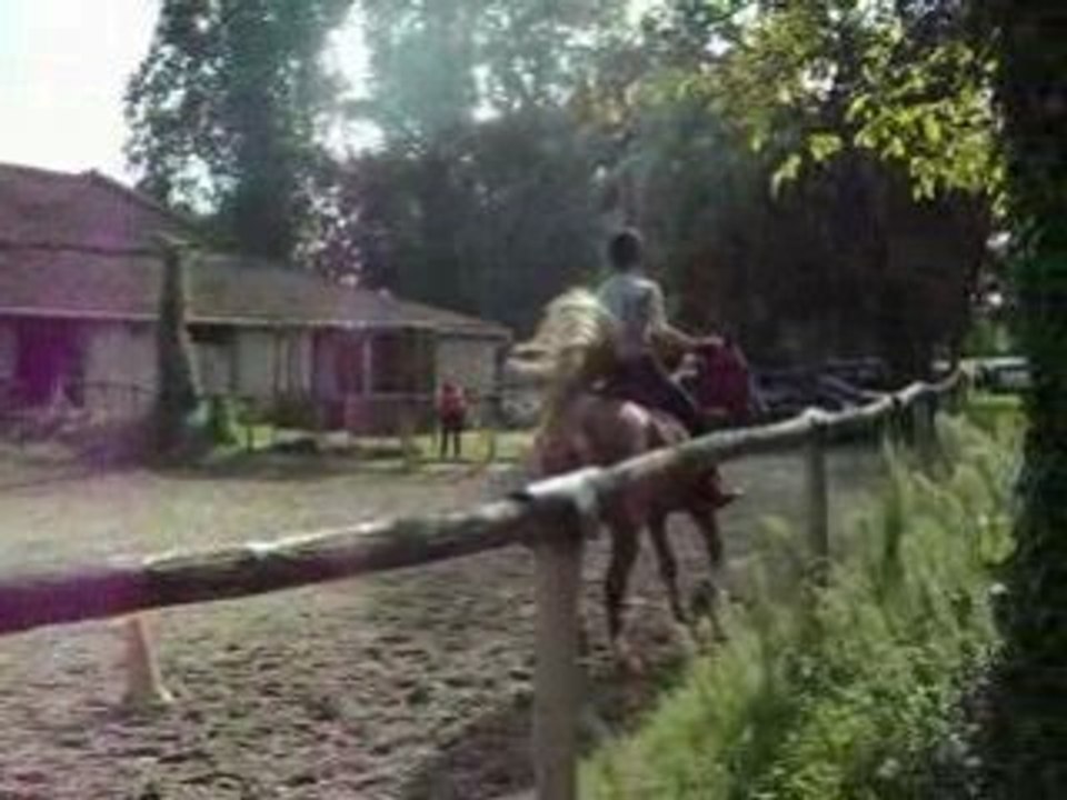 David 1er galop avec jumper !!