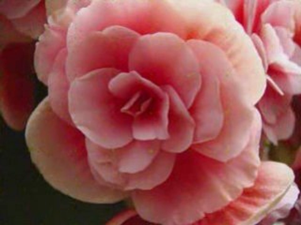 Wimmer´s Garten im September