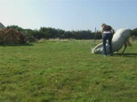 Galop longe stick to me_0001