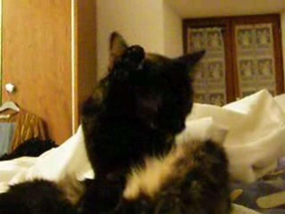 Ramses à sa toilette