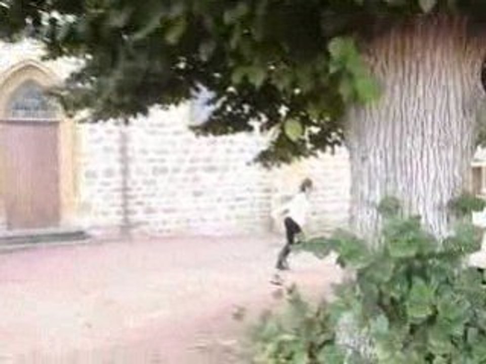 Le poulet