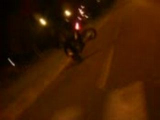 Niko Stoppies _ univérsité