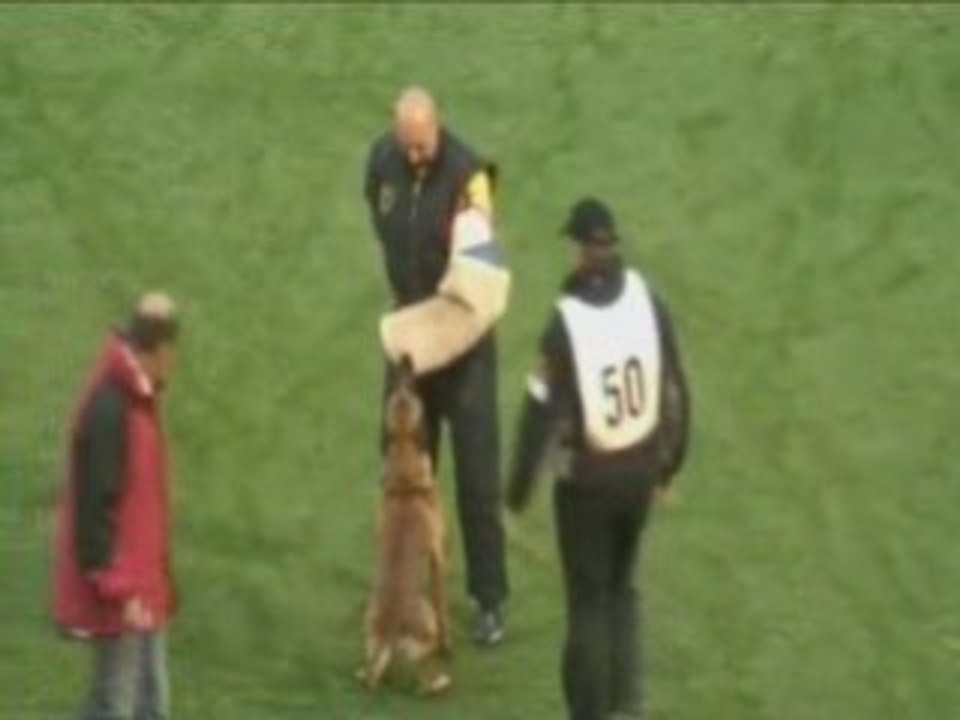 FCI2008 - Koskensalo