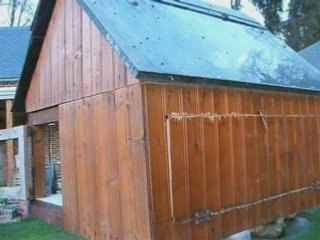 Pigeons degueu 2 (2005)