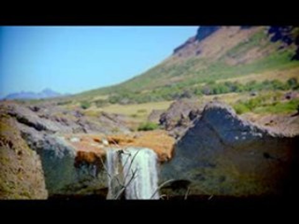 Dinosaures - Omnimax