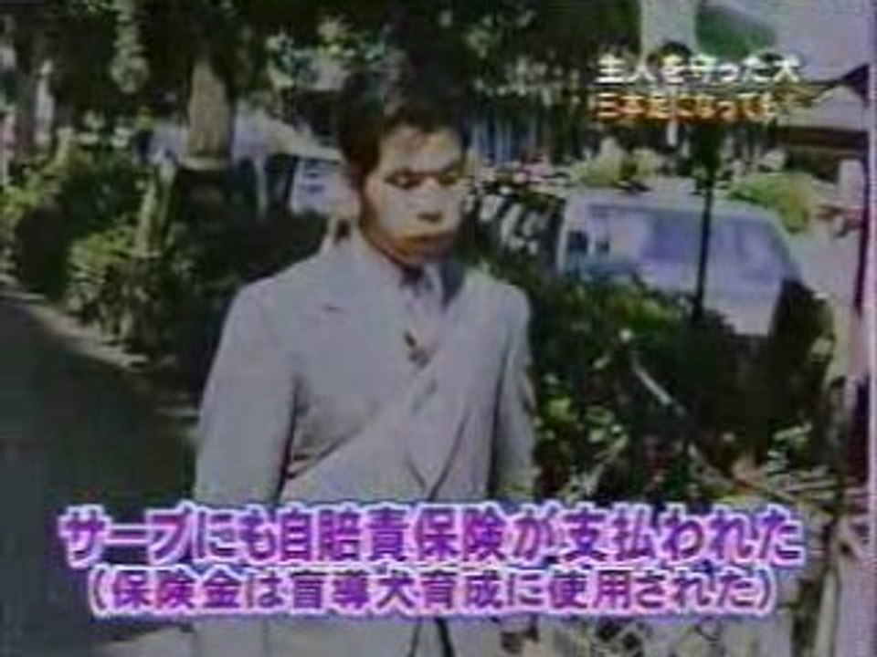 3本足の盲導犬