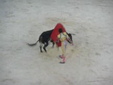 Corrida Sébastien Castella seul contre 6+1 - Nimes 2008