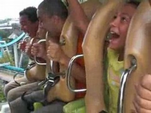 DUELING DRAGONS ROLLER COASTER