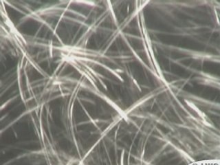 Reflets sur l'eau (Graff video by LWO 2007)