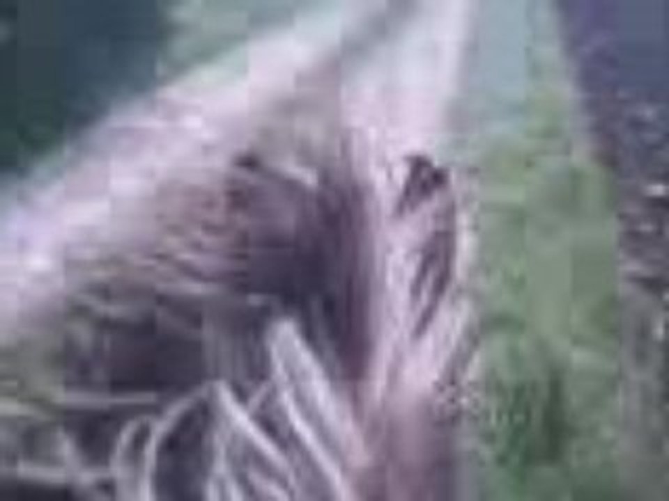 Vidéo002