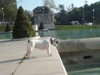 Vanille au Jardin du Trocadero