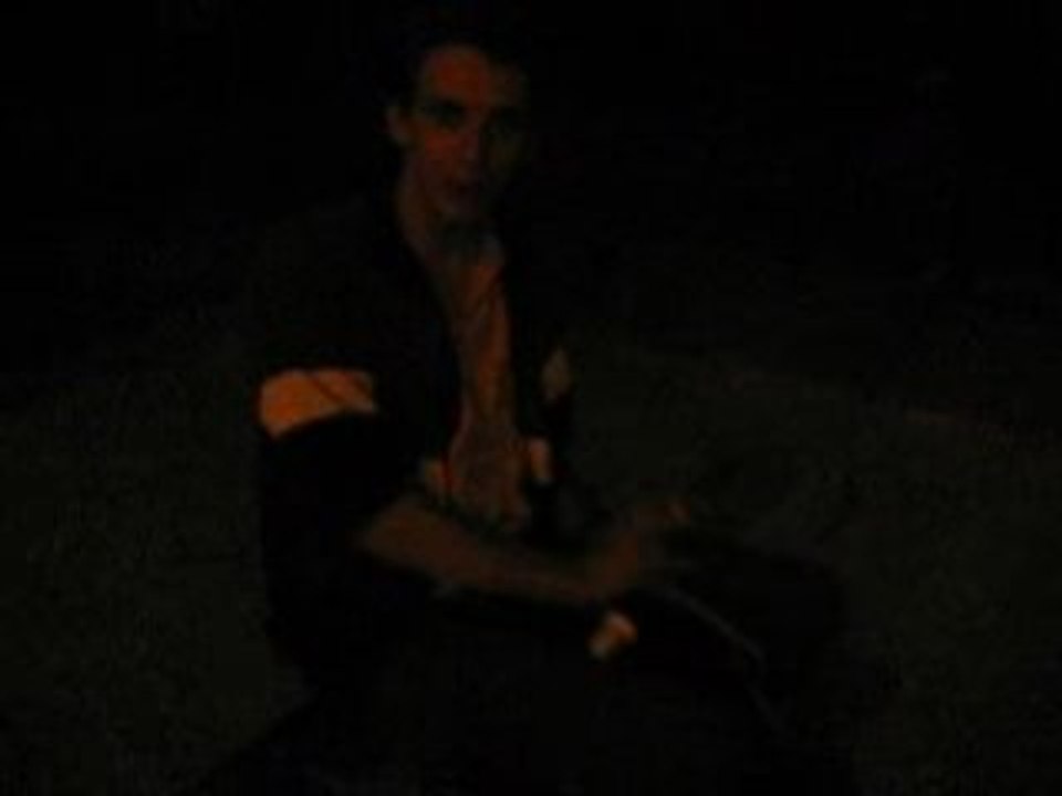 Dinausaurus Sur Son Dragon