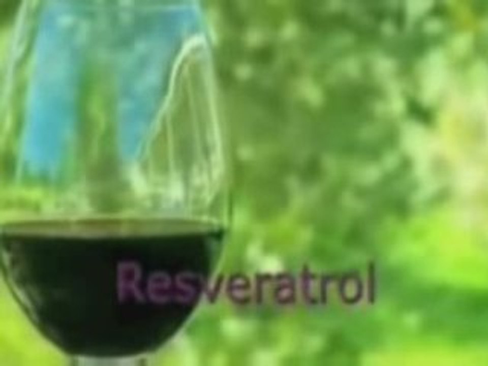 Shaklee Distributors Have New Breakthrough Product Meet