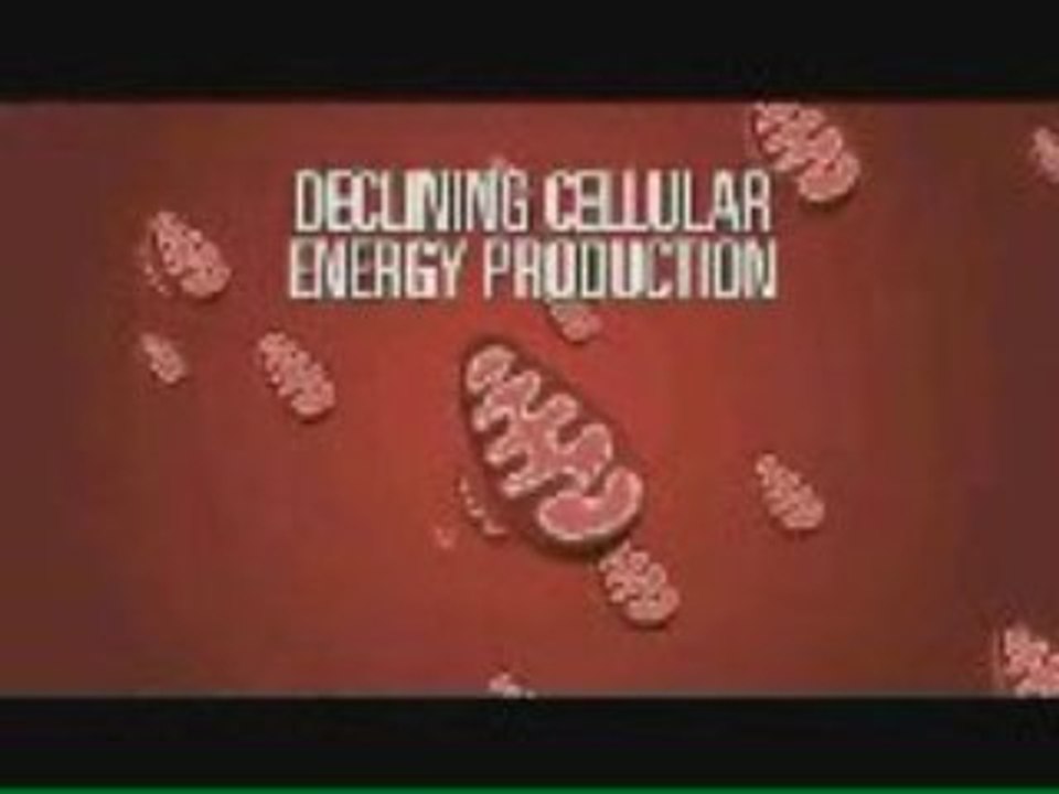 Shaklee Distributors Have New Breakthrough Product Meet