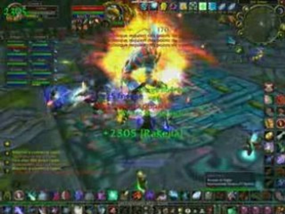 Combat contre Akil'Zon zul ama,