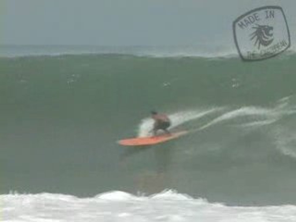 SURF Longboard & Wilderness, Puerto Rico video Dailymotion