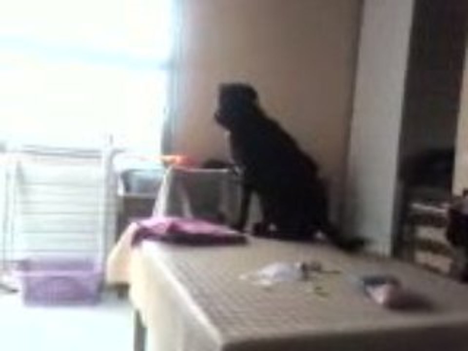 Vidéo0151