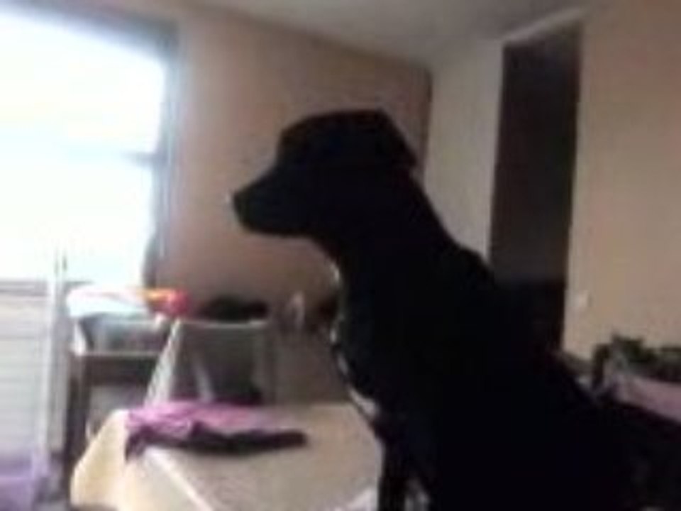 Vidéo0152