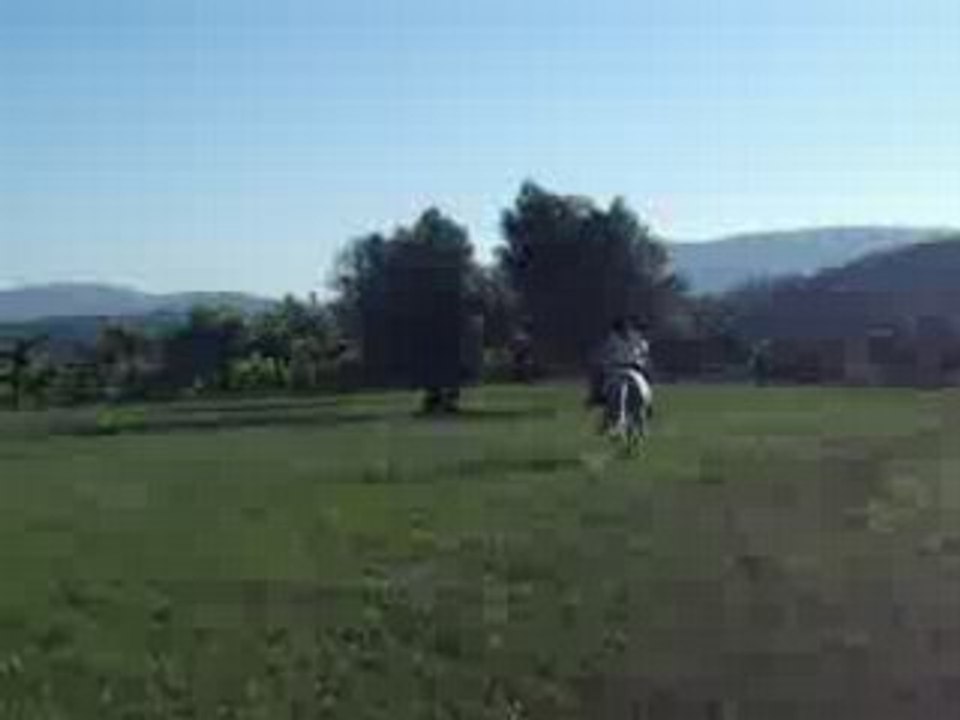 Galop dans le pré interdit xD