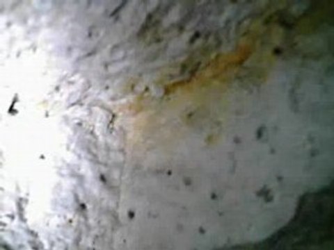 concretion a cote de jourdan carriere catacombe alkarou