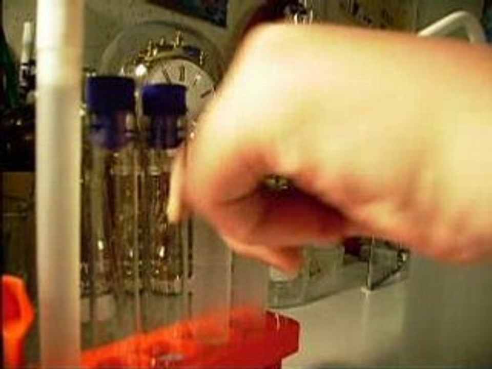 Fer (II) et Fer (III)