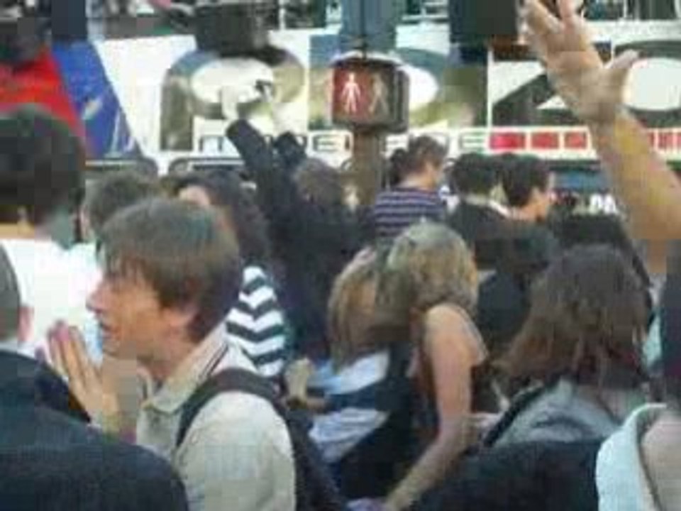 Techno Parade 08 - Mathieu Bouthier