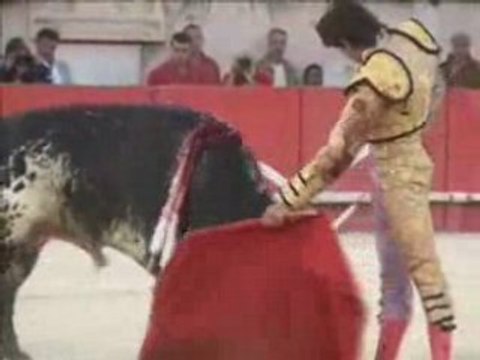 NIMES 20 SEPTEMBRE : LE 7EME TORO DE CASTELLA