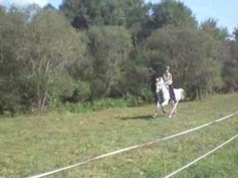 Sprinte a cheval avec mon tit ange grisss!!