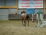cheval concours