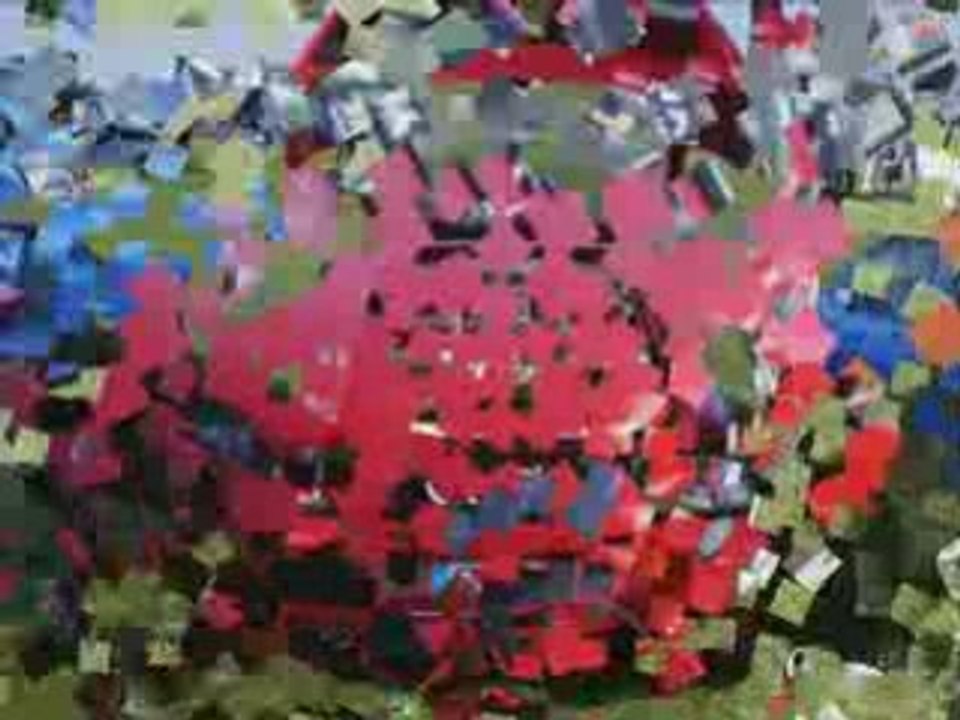 Bri comte robert 2008