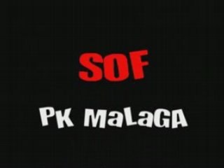 Parkour Malaga SoF